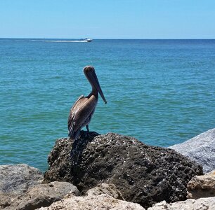 Beach ocean florida