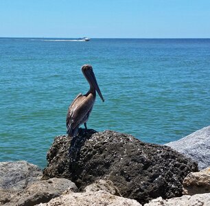 Beach ocean florida photo