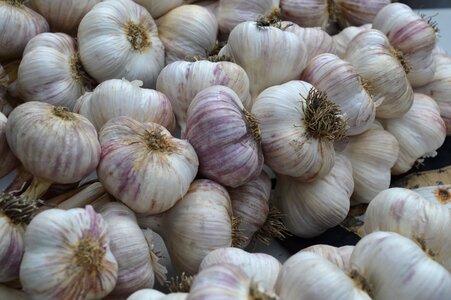 Food healthy organic