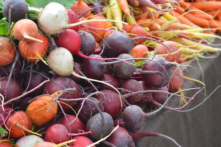 Market fresh onions photo