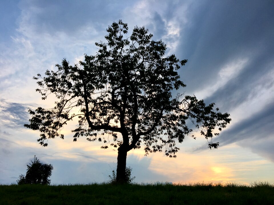 Sunset sun romance photo