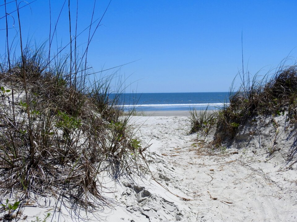 Landscape nature coastal