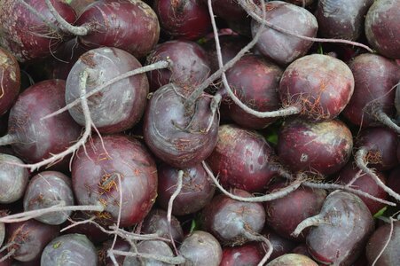 Fresh market diet