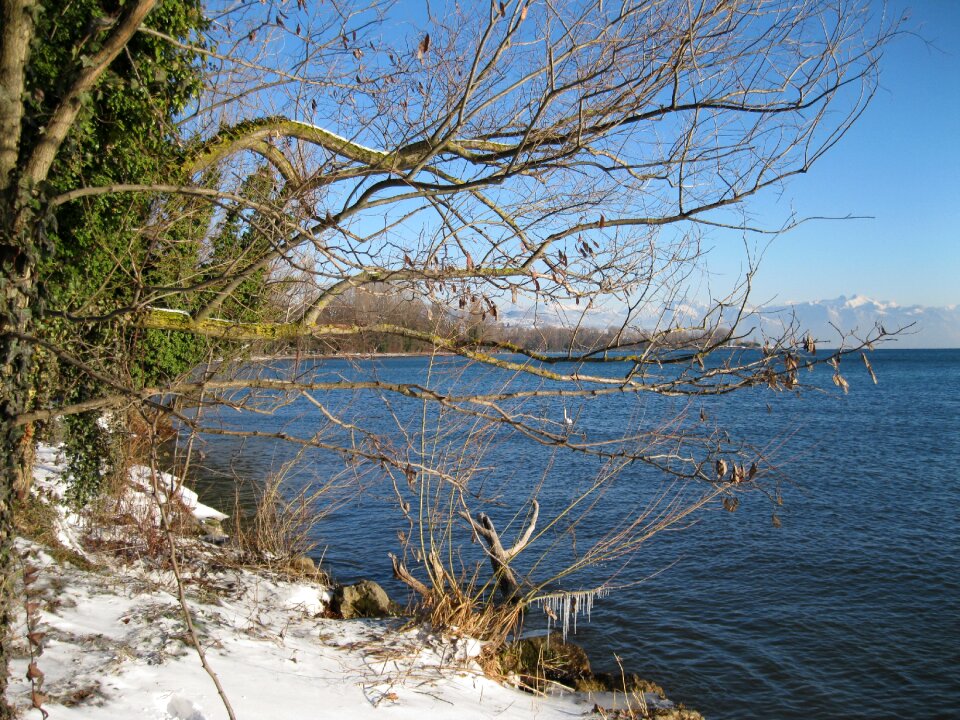 Switzerland lake snow
