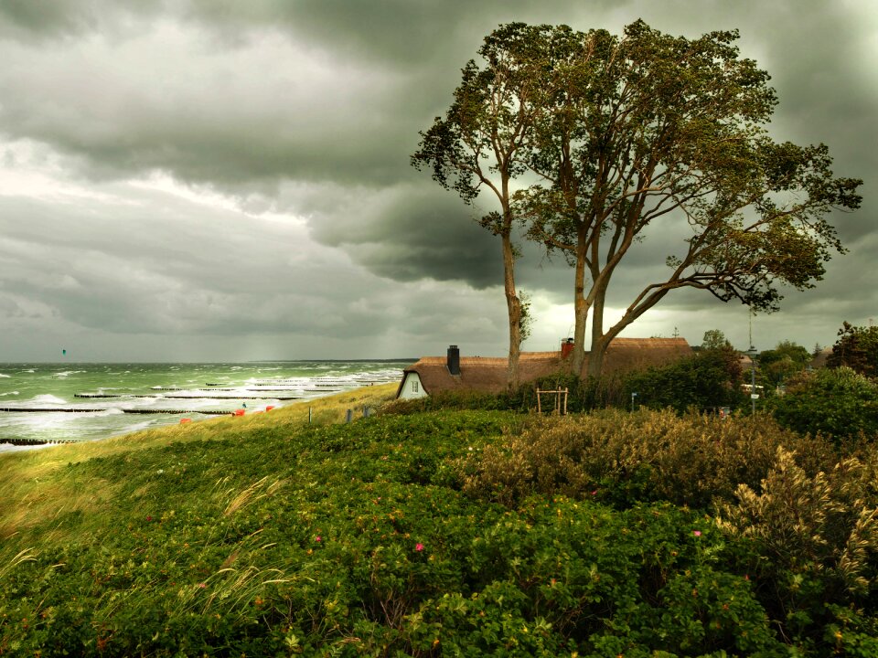 Fischland roofs coast