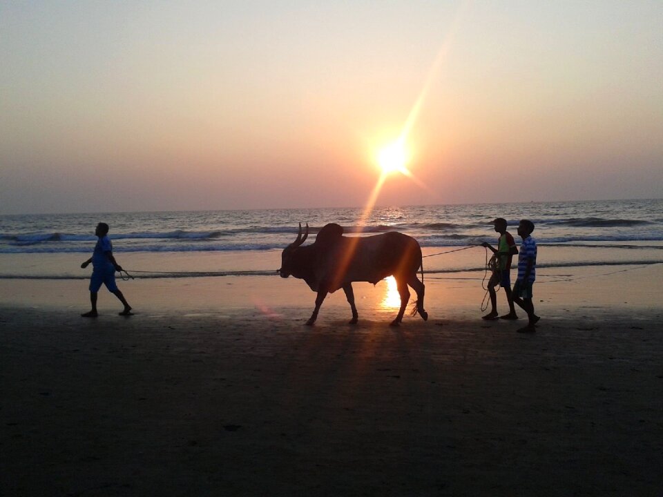 Light beach the sun