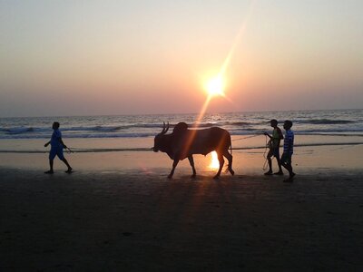 Light beach the sun