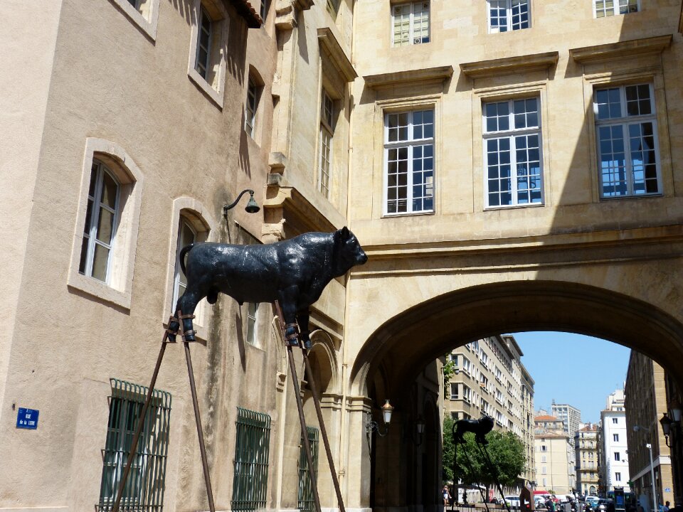 Sculpture art bull photo