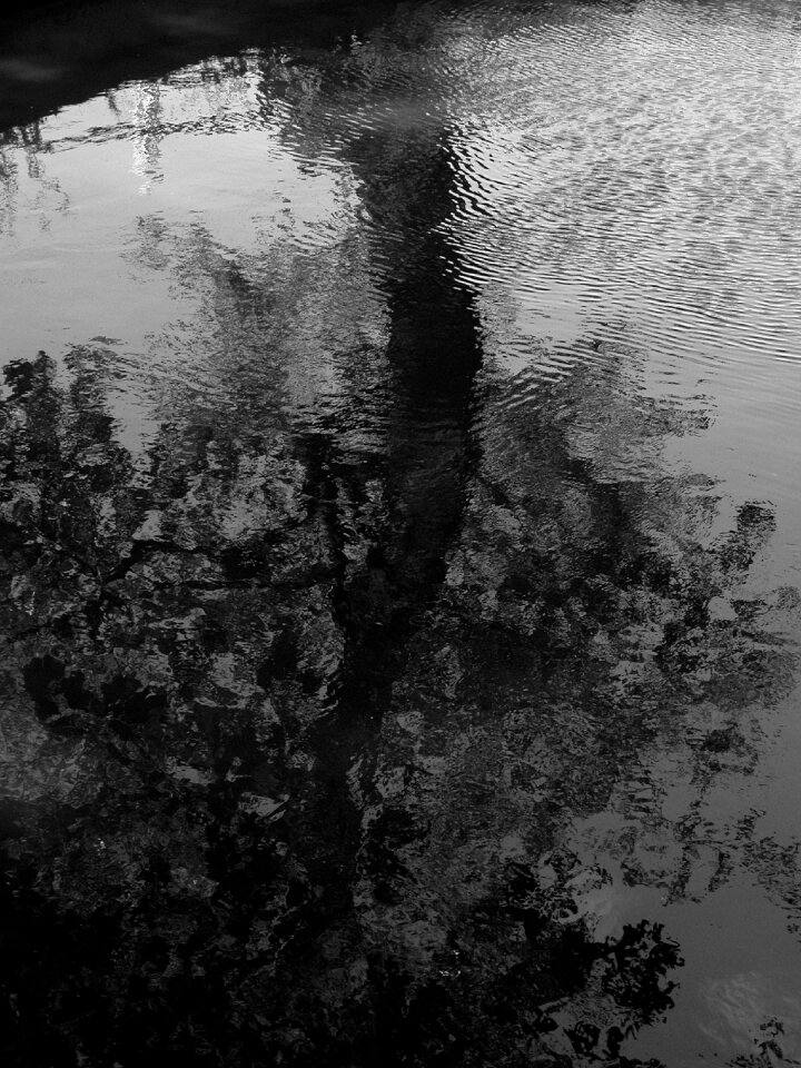 Pond landscape brook