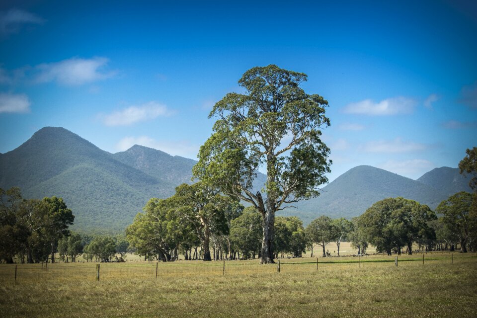 Victoria australia green