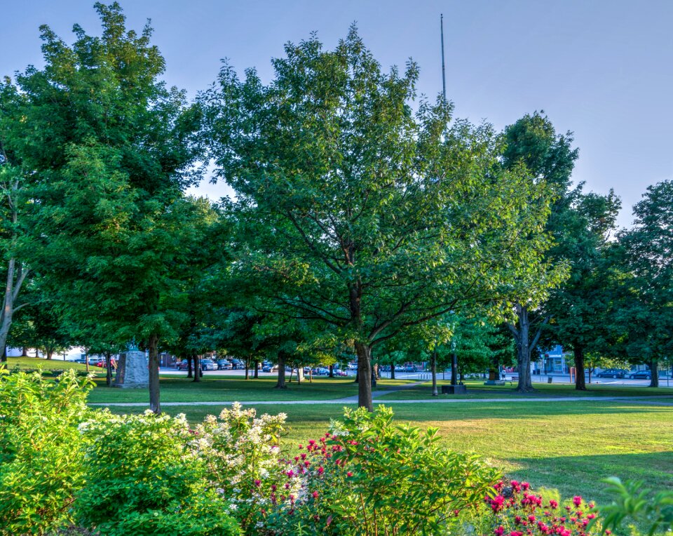 Park outdoor summer