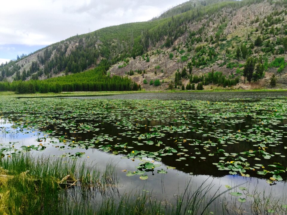 Wyoming usa landscape