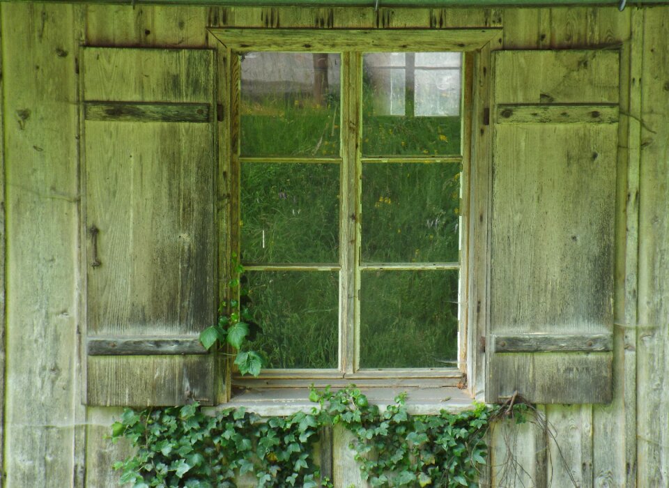 Window looking outside old