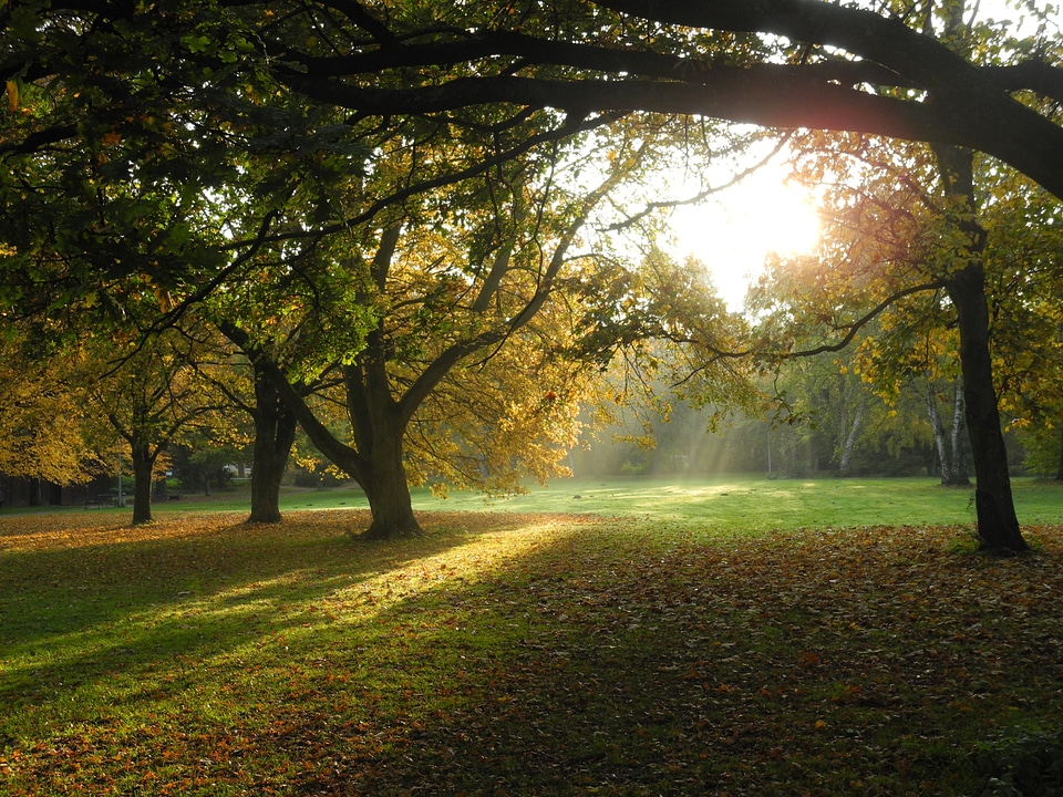 Nature landscape light
