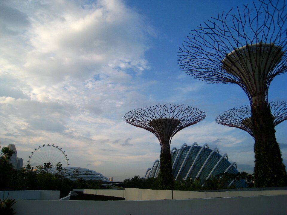 Attraction garden