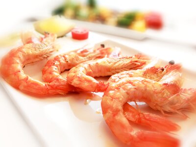 Catering eating disc