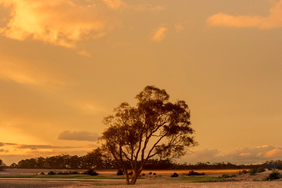 Dramatic sky summer