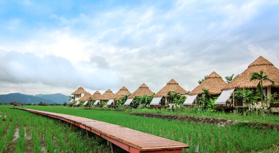 Blue ridge mountain se tong chiang mai thailand