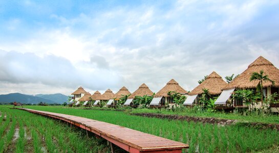 Blue ridge mountain se tong chiang mai thailand photo