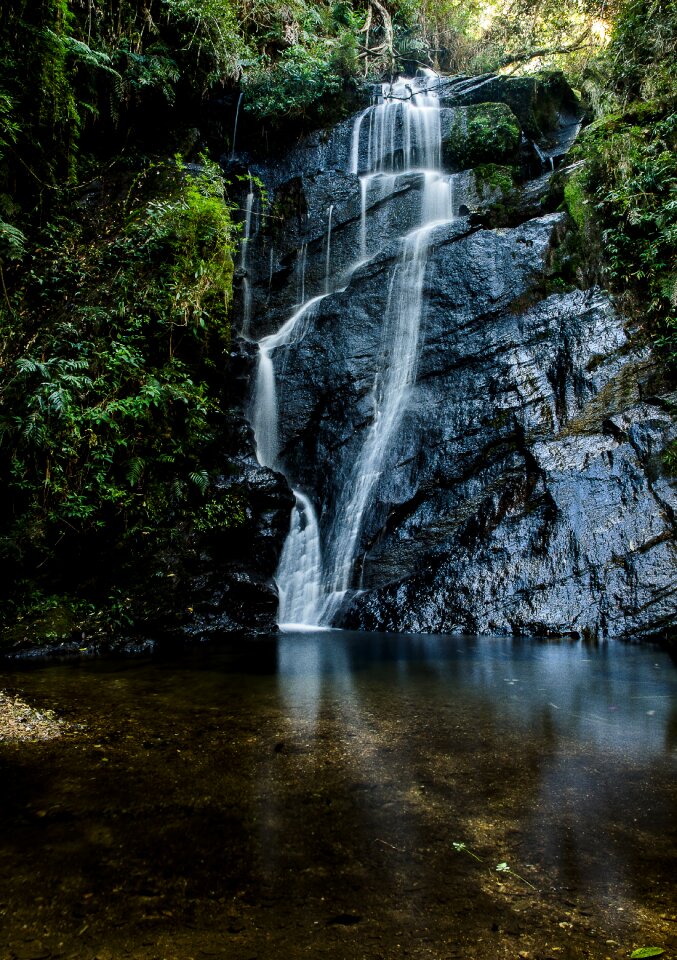 Life landscape at