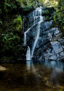 Life landscape at