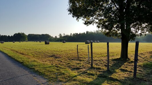 Look away season straw photo