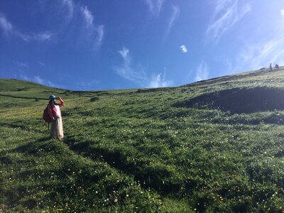 Plateau sea of flowers western sichuan photo