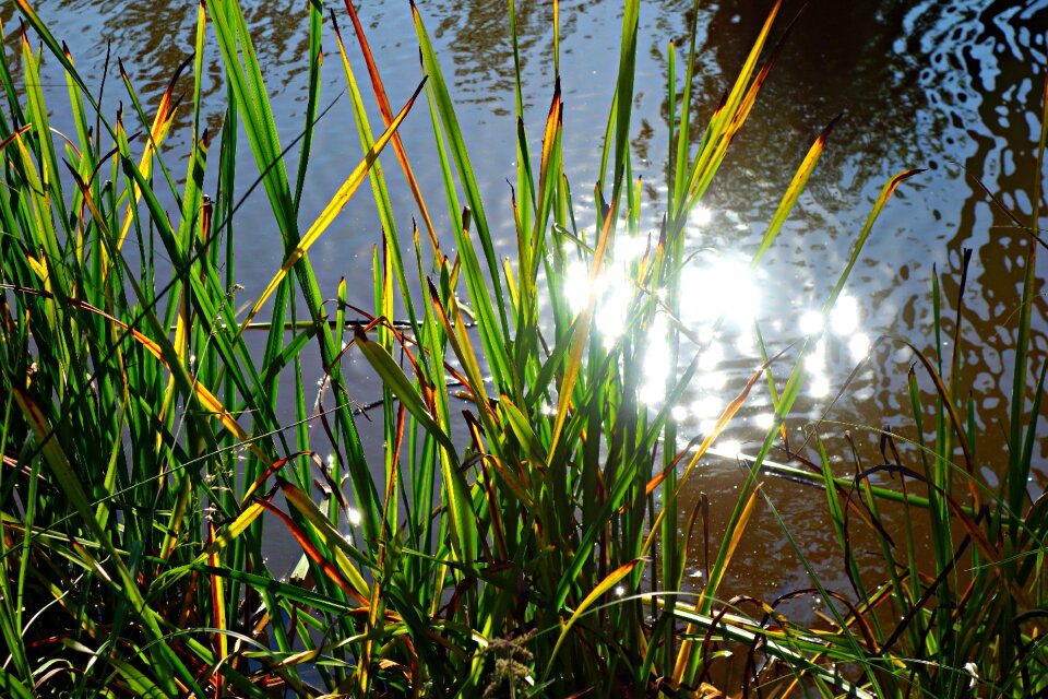 Bank waterway water