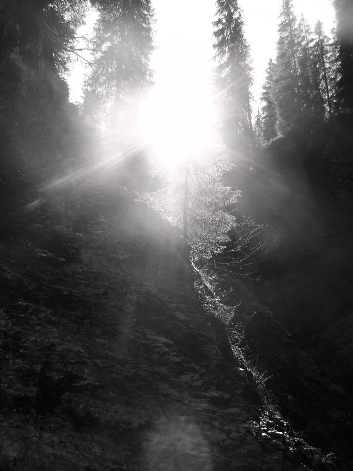 Nature bihar mountains transylvania