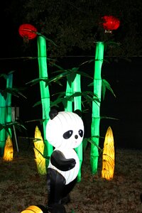 Festival celebration
