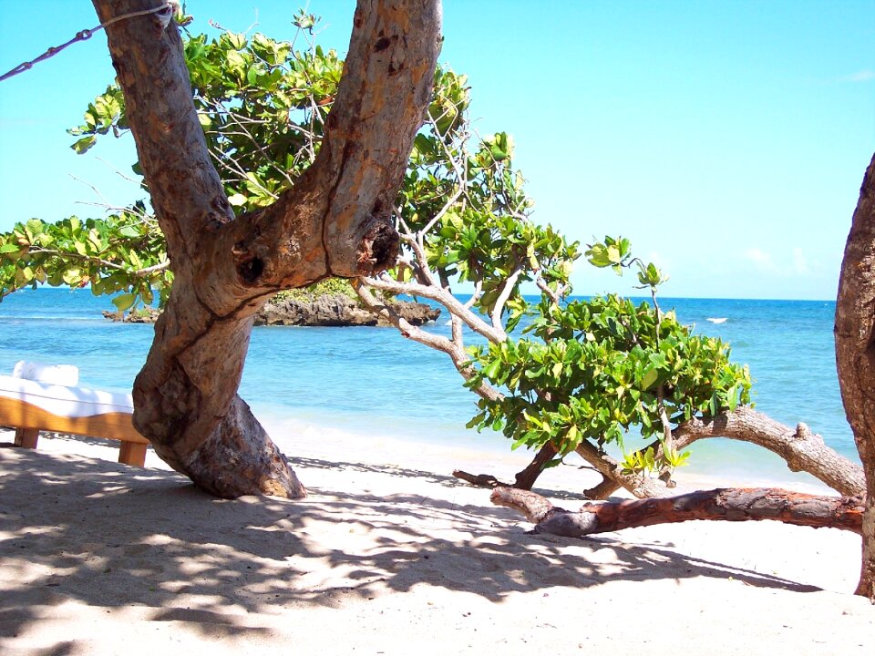 Vacations rest caribbean