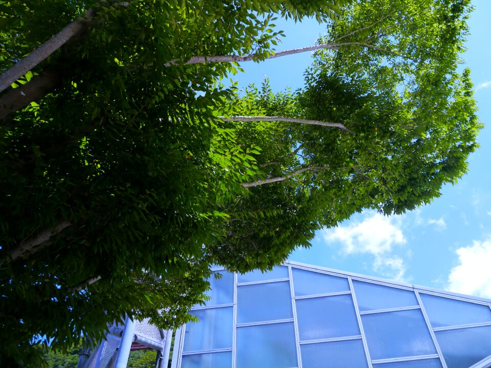 Building glass plateau