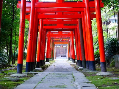 Shinto japanese style k