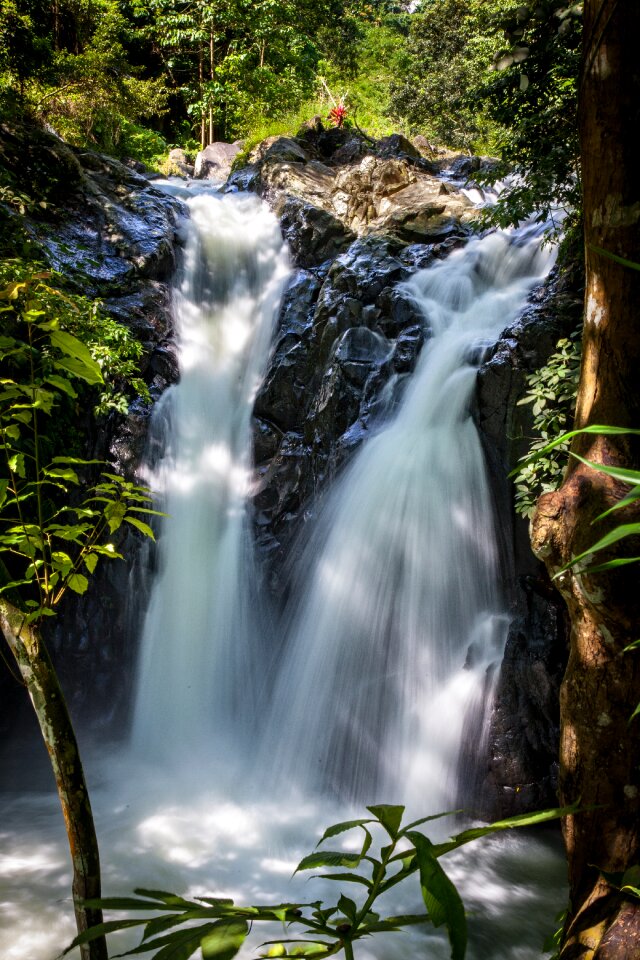 Tropics waterfalls bali