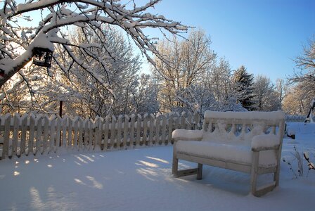 Garden backyard park