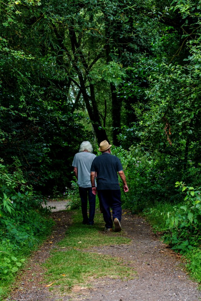 Nature pathway walking people