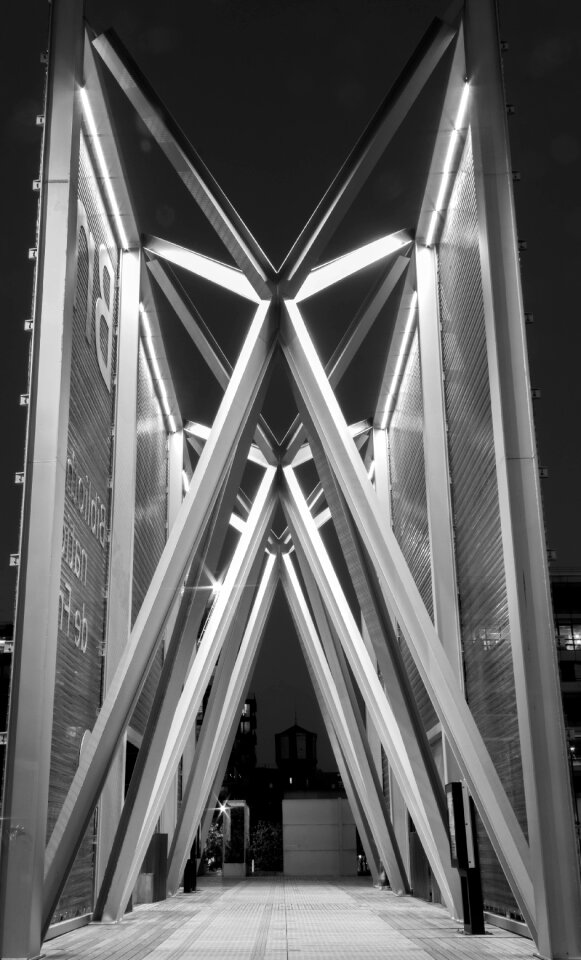 Spider paris light
