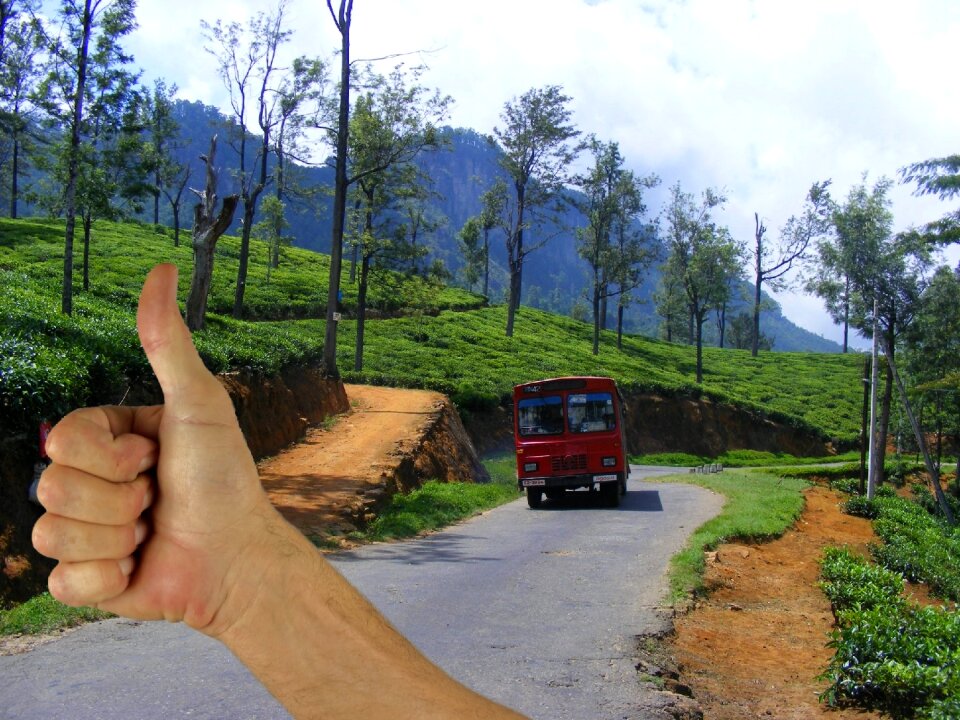 Road countryside journey