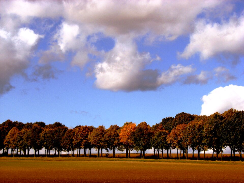 Sky clouds golden autumn