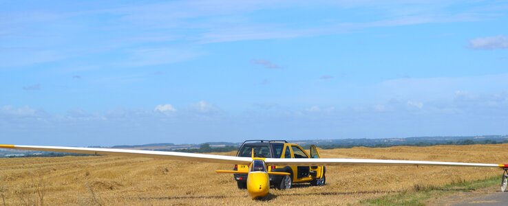 Vehicle wing yellow