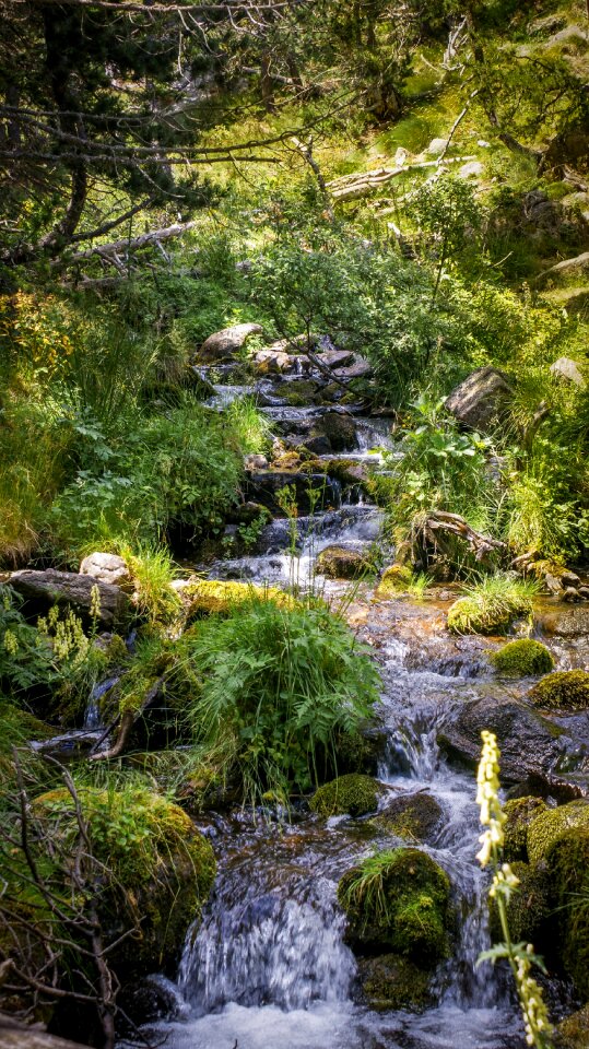 Water courses river nature