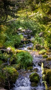 Water courses river nature photo