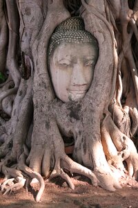 Thailand buddha ruin photo