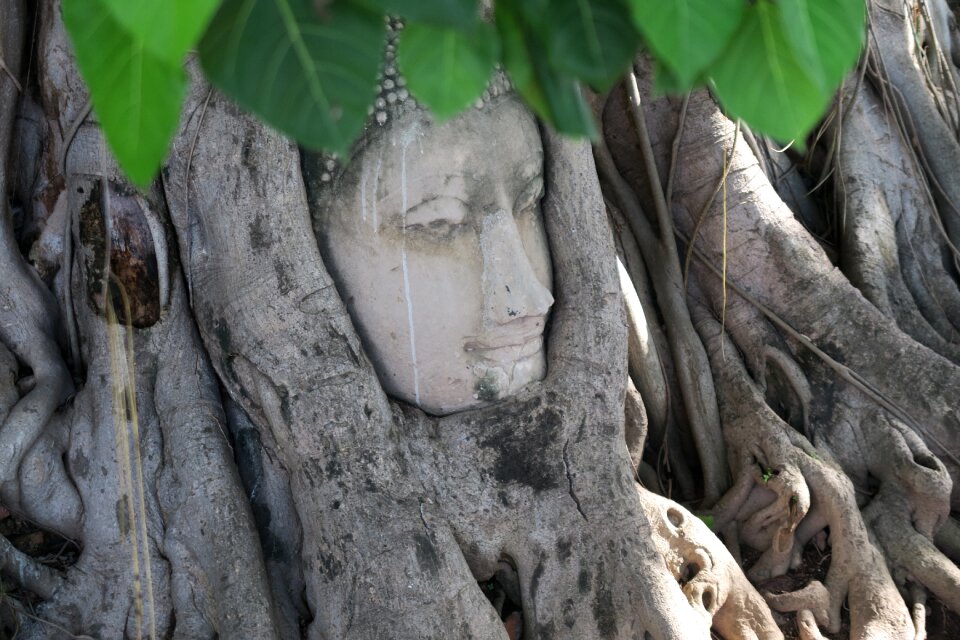Thailand buddha ruin