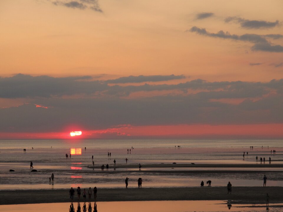 Summer nature horizon