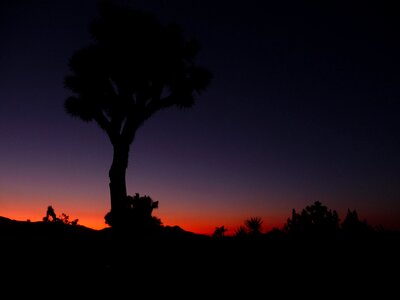 Usa night sunset