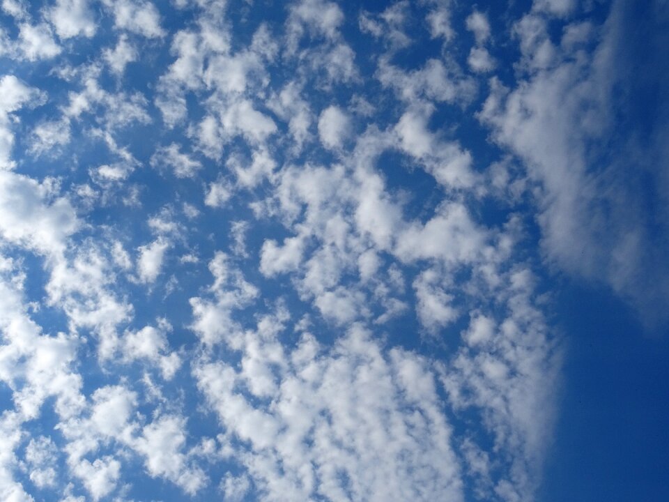 Blue sky blue sky clouds summer