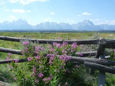 Usa wyoming landscape photo