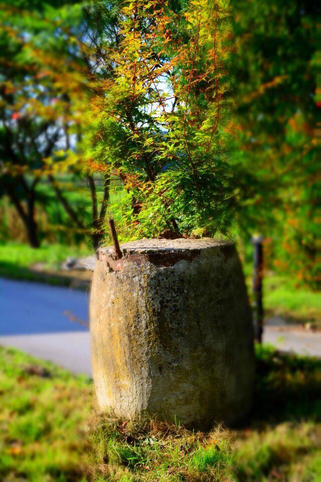 Grass block