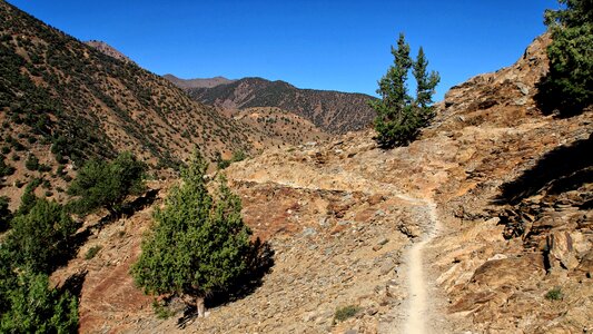 Trekking path away